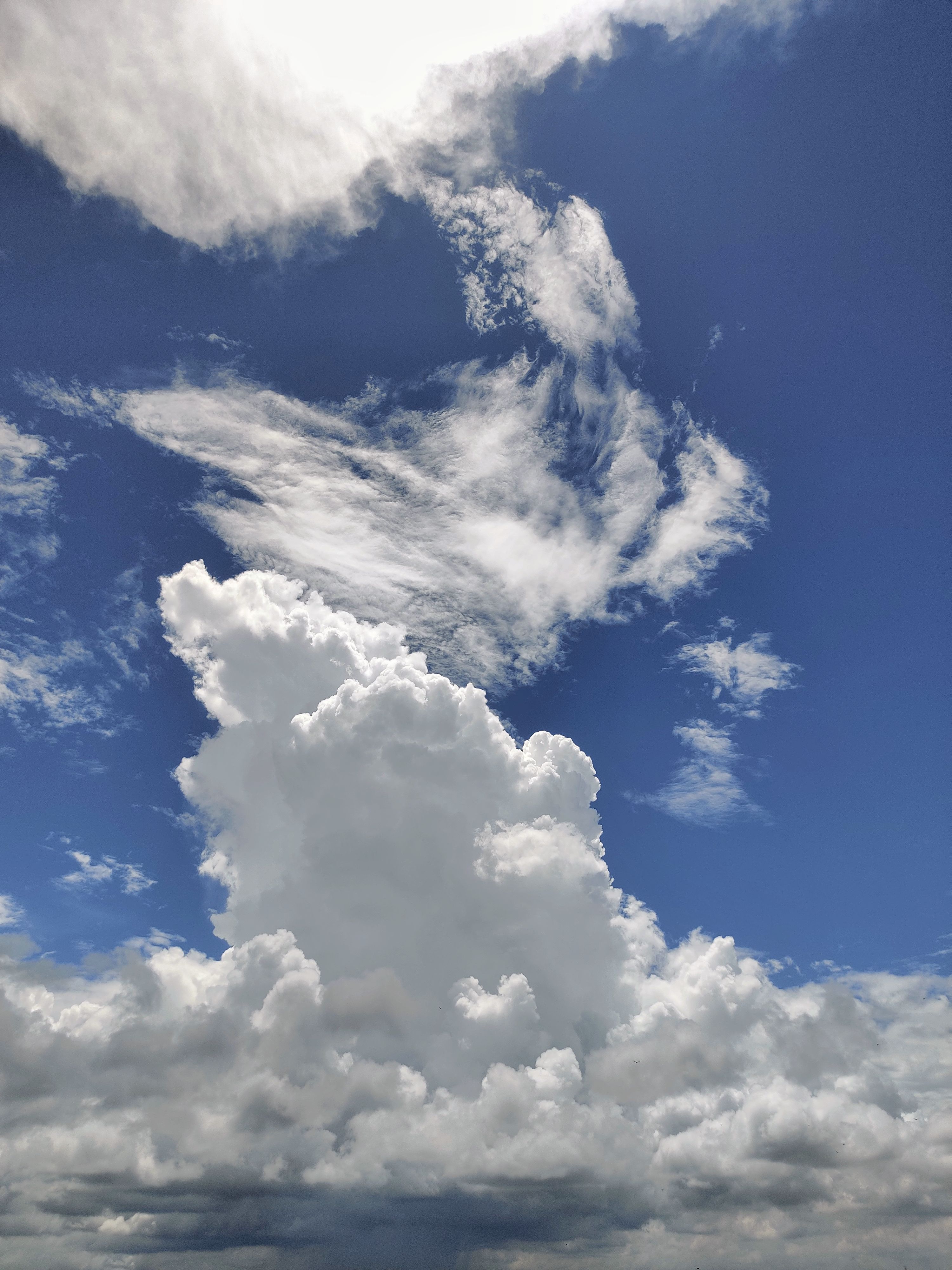Photo of White Clouds and Blue Sky · Free Stock Photo
