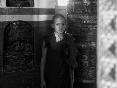 Free Black and white portrait of a young monk in a monastery, highlighting cultural and spiritual themes. Stock Photo