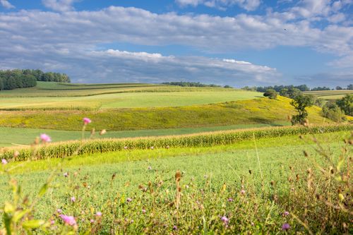 Free Expansive view of lush green fields and rolling hills under a blue summer sky in Pennsylvania. Stock Photo