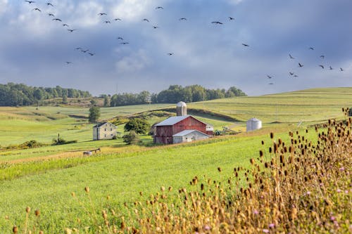 A Barn in the Countryside