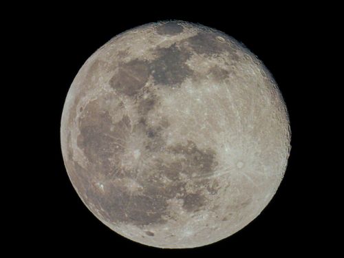 Free Detailed high-resolution image of the full moon against a black sky. Stock Photo