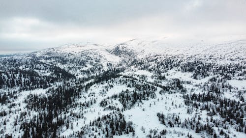 Aerial View of a Snow Covered Mountain