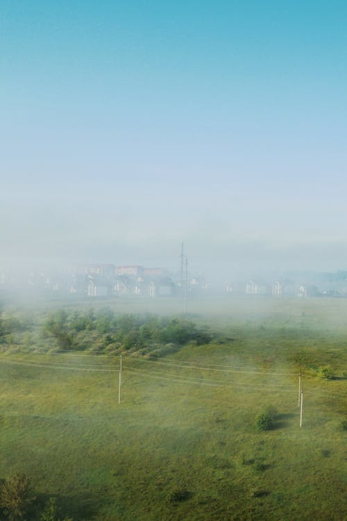 Foggy Rural Fields in Summer 