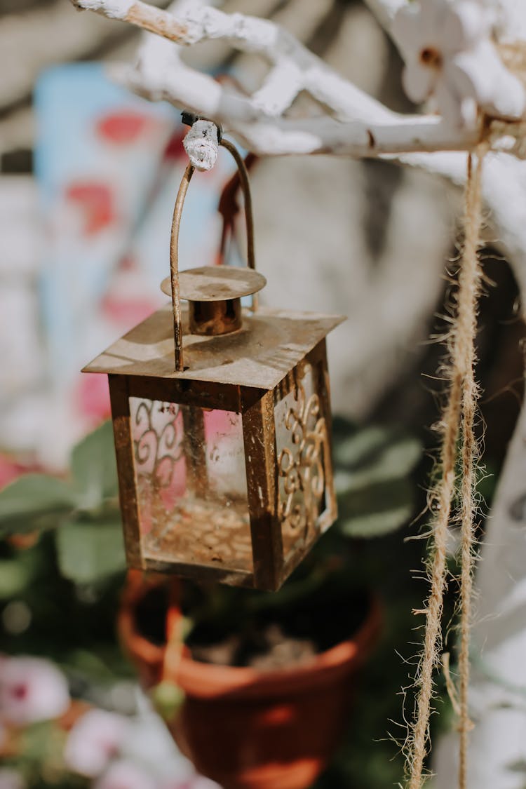 Wedding Lantern Hanging On A Tree Branch