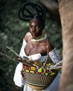 Black Aranyani