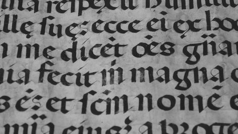 Detailed view of historical Gothic calligraphy on ancient parchment.