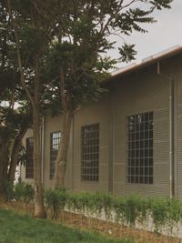 Industrial Shed Complex, photo 1