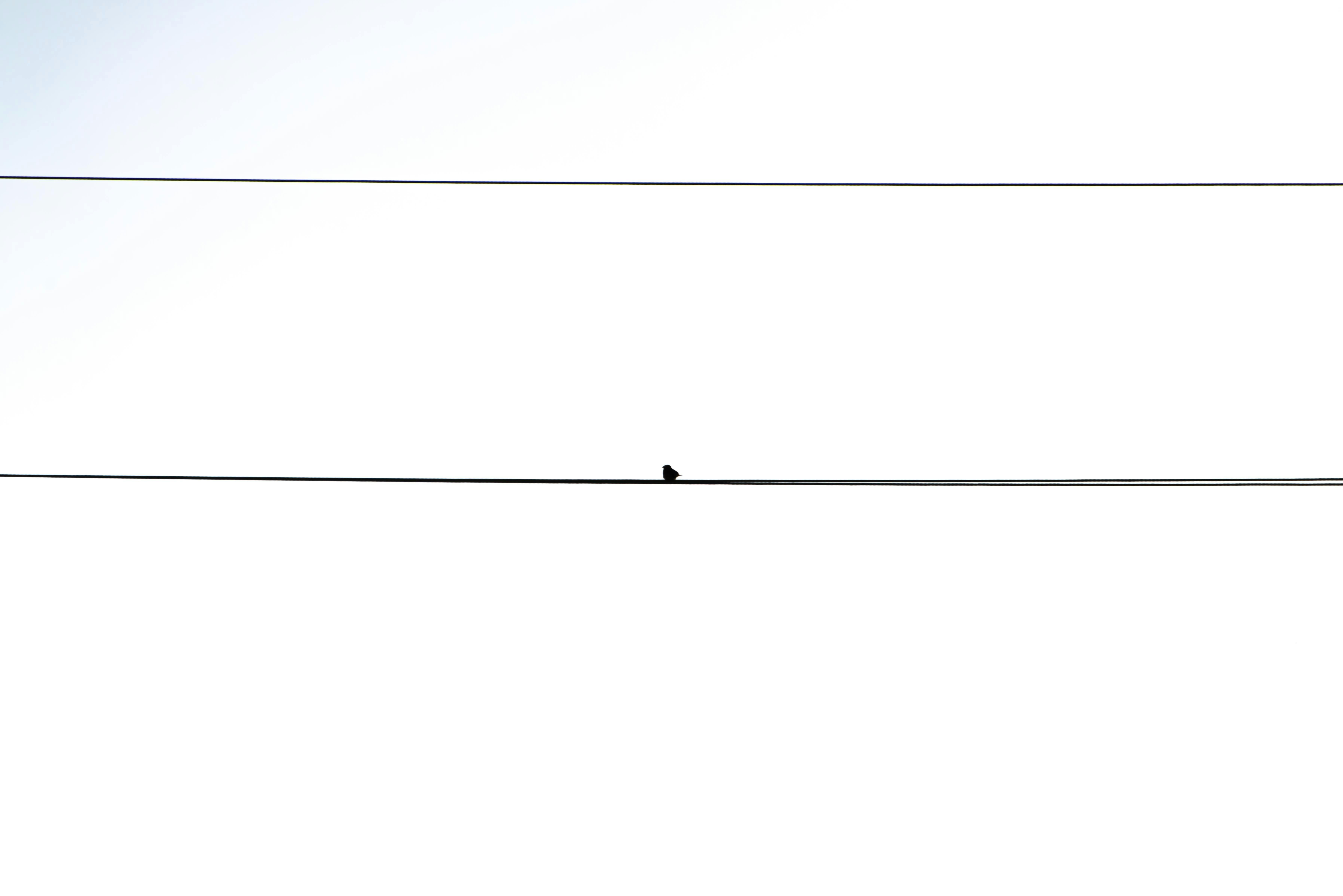 무료 고독, 고립된, 고요함의 무료 스톡 사진