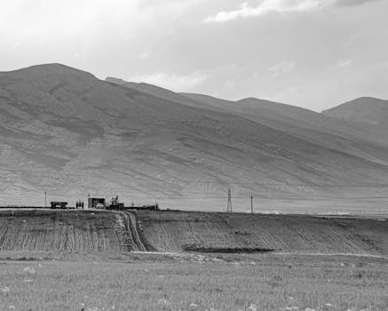 A serene black and white landscape featuring mountains and a rural field.