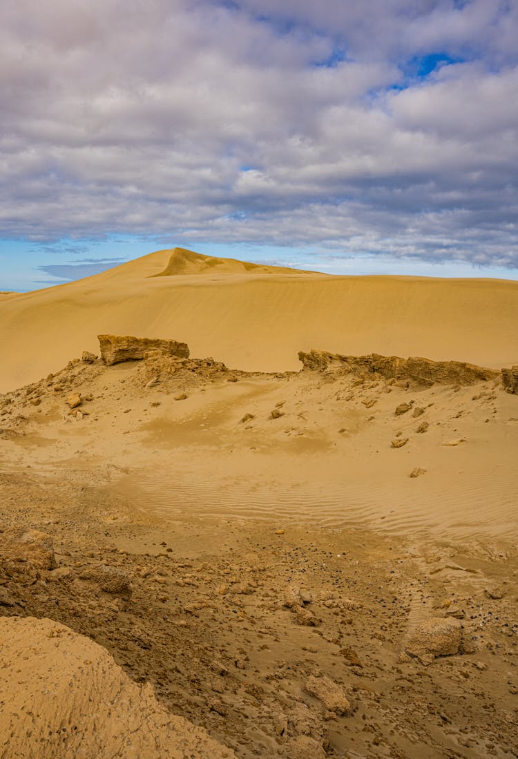 Brown Sand On The Desert