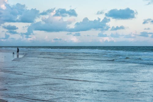 Ilmainen kuvapankkikuva tunnisteilla aallot, hiekkaranta, ihmiset Kuvapankkikuva