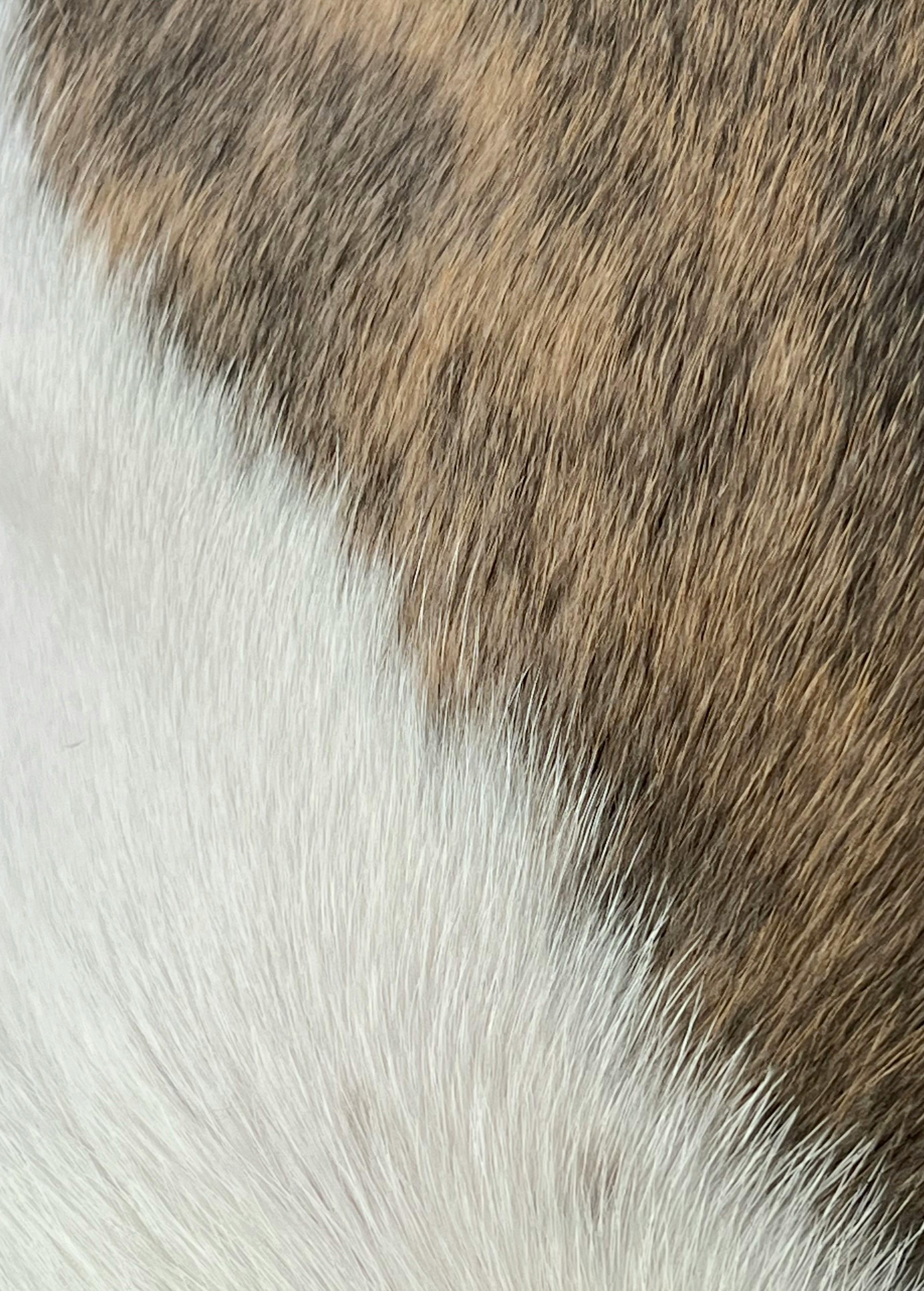 So Erstellst Du Follow-Up-Mails: Tipps Für Erfolgreiche Kommunikation 8 8 Must-Have Elemente für jede erfolgreiche Follow-Up-Mail