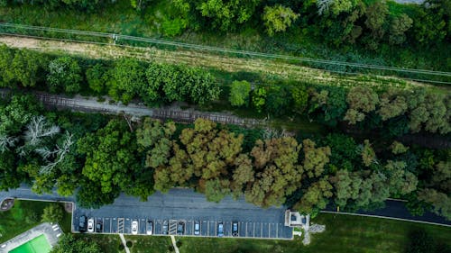俯視圖, 樹林, 無人空拍機 的 免费素材图片