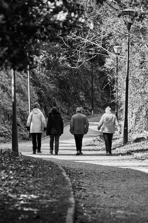 Free Black and white photo of women walking on a park path, showcasing a relaxed outdoor atmosphere. Stock Photo