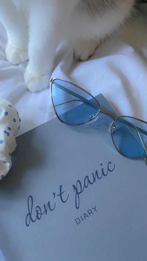 Free Silver Framed Sunglasses over a Diary Stock Photo