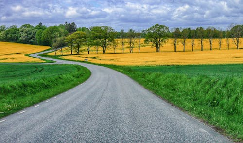 Gratis stockfoto met achtergrond, bochtige weg, bomen