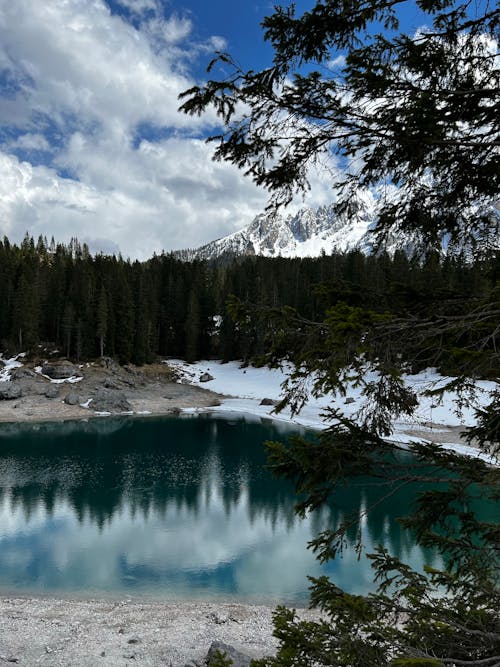 Blue Lake Surrounded by Green Pine Trees