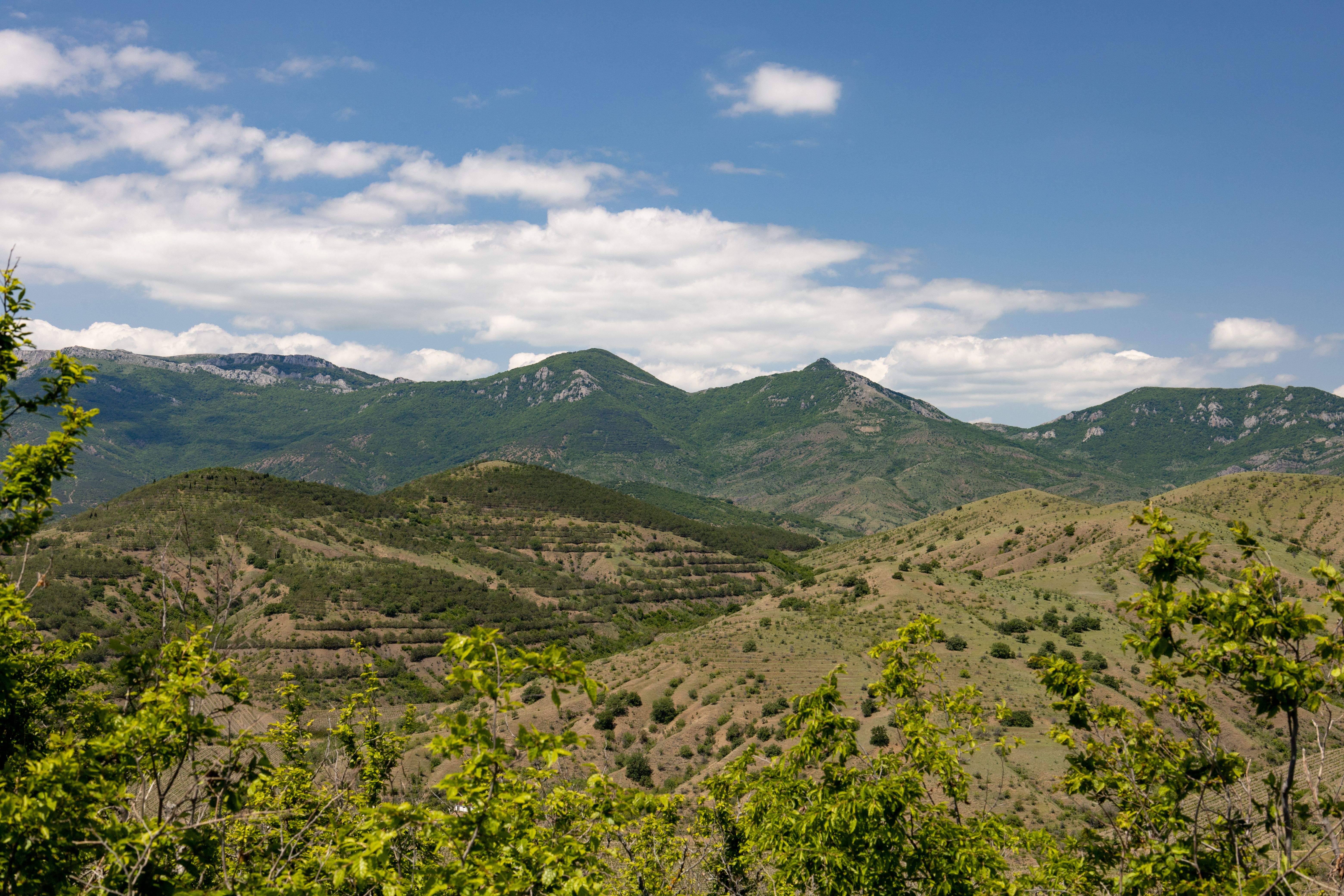 Green Mountains Under the Blue Sky · Free Stock Photo