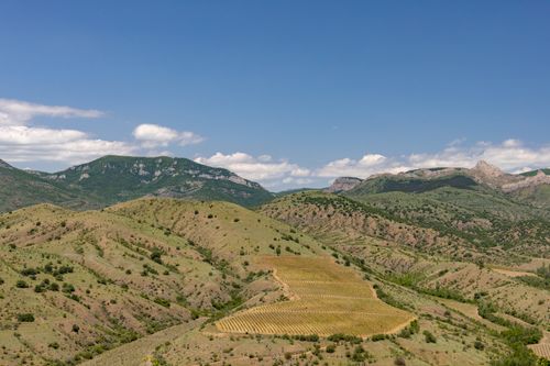 Free Aerial view of lush green hills and croplands under a clear blue sky. Stock Photo