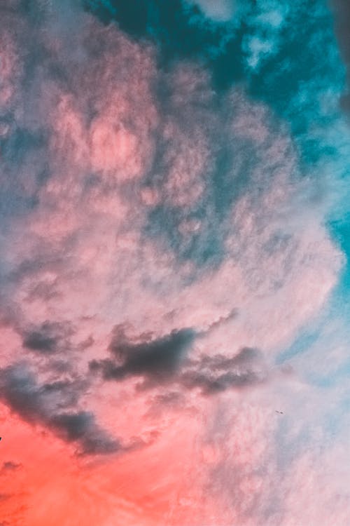 Free Pink and Blue Sky Stock Photo