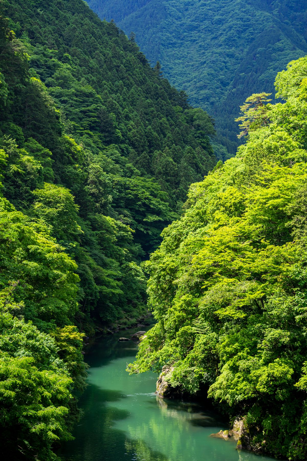 A clear river flowing through a lush green forested valley, similar to the Arakawa river at Nagatoro near Chichibu