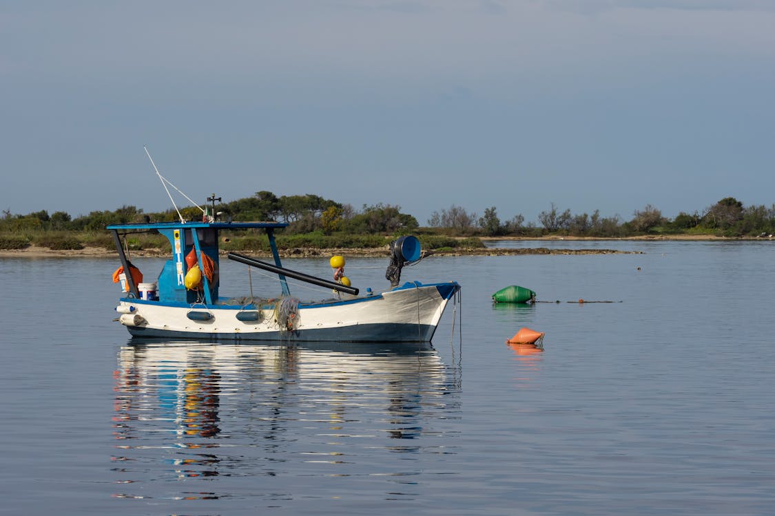 Foto profissional grátis de água, ancorado, barco