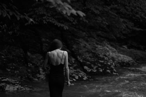 Ingyenes stockfotó erdő, fekete ruha, fekete-fehér témában