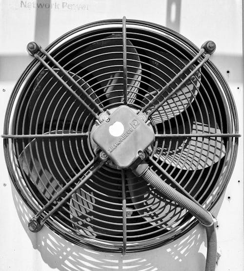 Free stock photo of fans