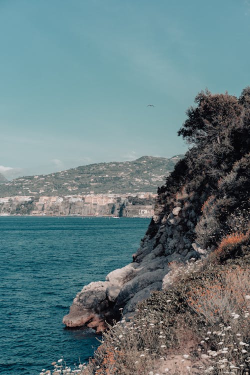 イタリア, ソレント, ナポリ湾の無料の写真素材