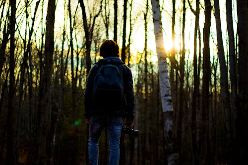 бесплатная Человек в серой куртке с рюкзаком в лесу Стоковое фото