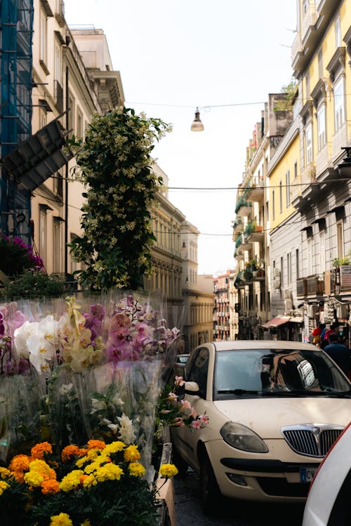 オールドストリート, ナポリ, にぎやかな通りの無料の写真素材