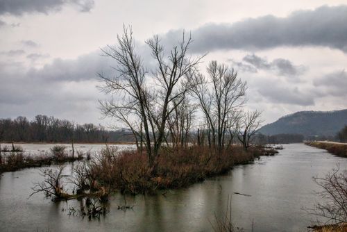 Free A peaceful winter lake scene with bare trees and overcast sky in Nelson, Wisconsin. Stock Photo
