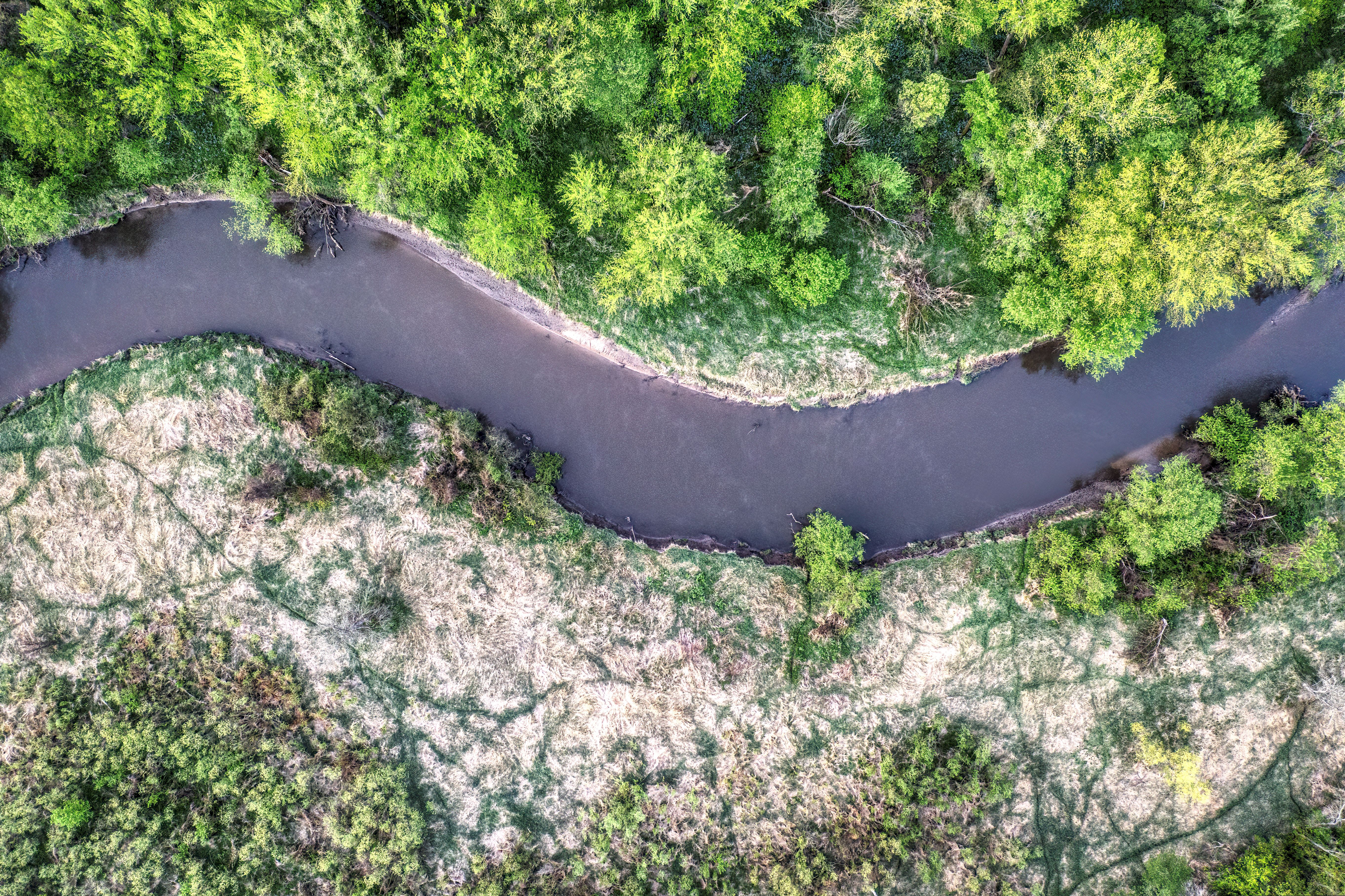 Aerial View of River in Between Green Trees · Free Stock Photo
