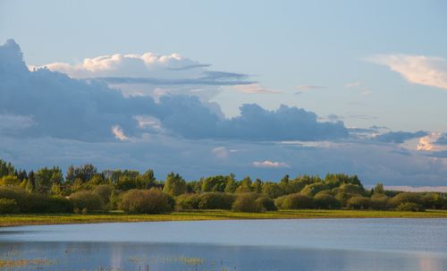 Free Peaceful landscape featuring a lake surrounded by trees and a cloudy sky. Stock Photo