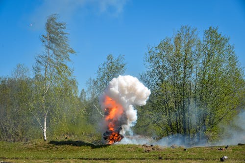 Základová fotografie zdarma na téma hoření, kouř, les