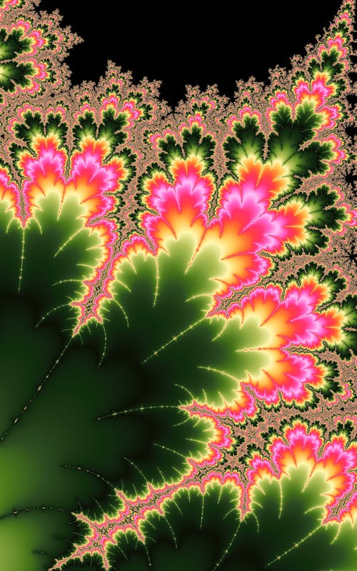 Colorful Fractals Picture