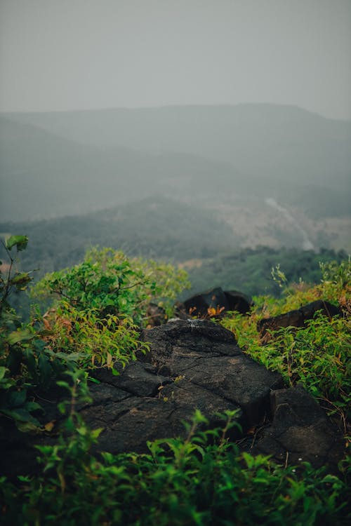 Foto stok gratis batu, kabut tebal, pegunungan