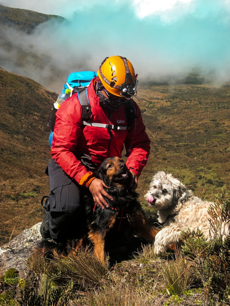 Person Wearing A Red Jacket Petting Dogs