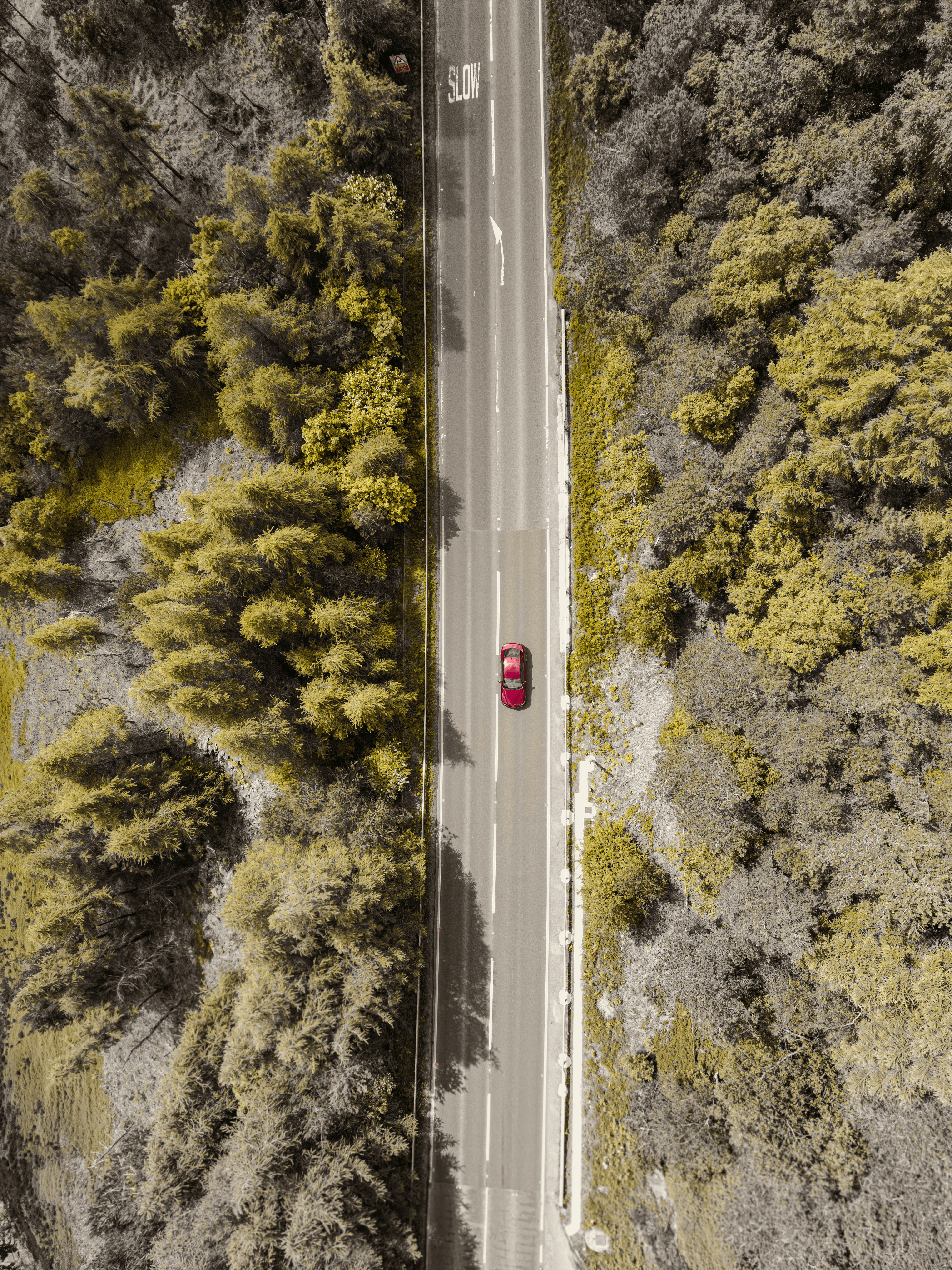 drone shot of a car on the road