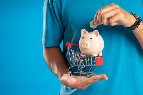 Free Photo of a Person with a Piggy Bank and a Shopping Cart Stock Photo