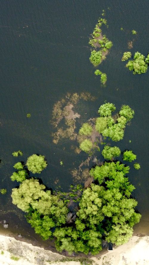 Free stock photo of creek, drone view, nature Stock Photo