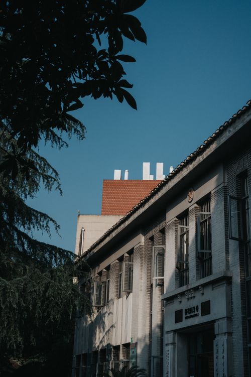 Free An urban building facade with trees against a clear blue sky, capturing the essence of summer. Stock Photo
