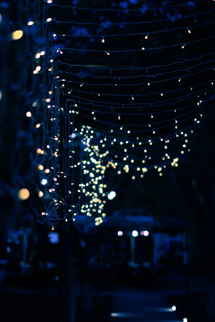 Christmas Lights In Outdoor Decoration At Night