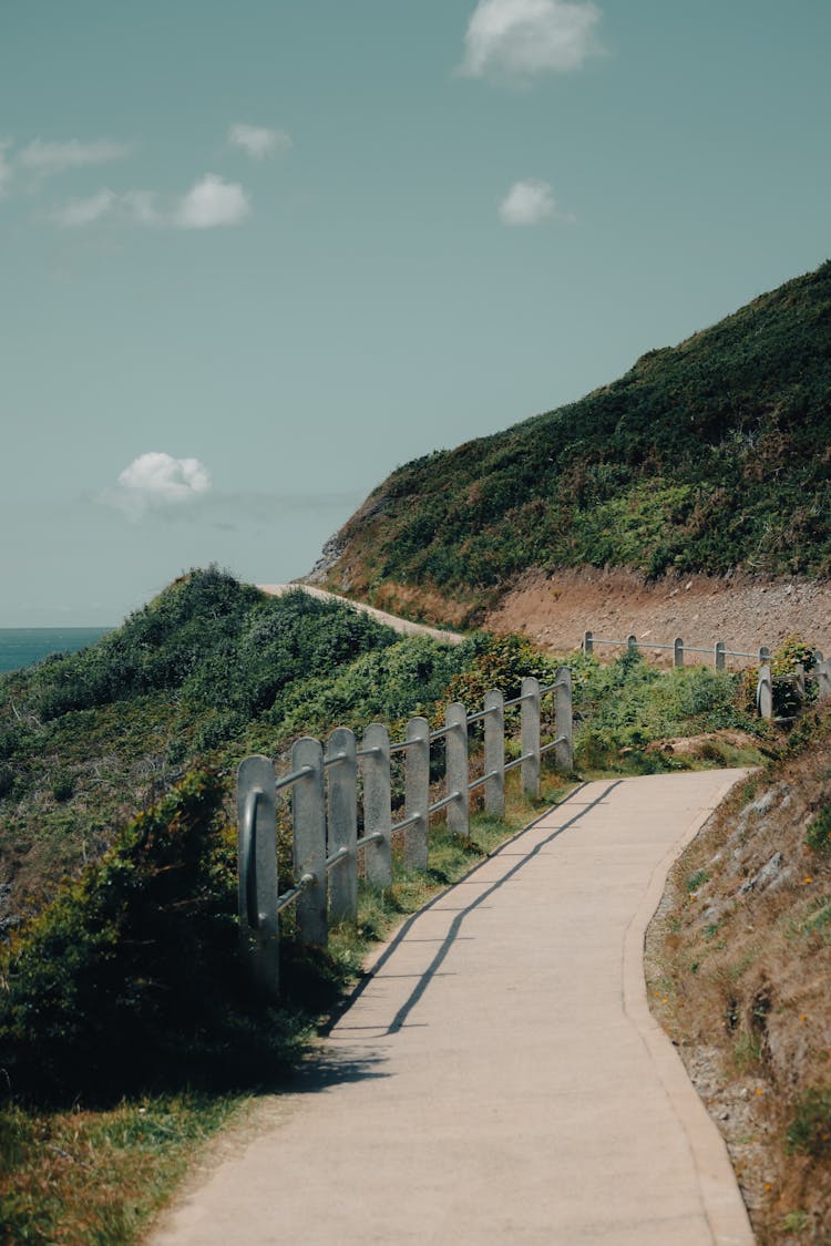 Road In Mountains In Summer