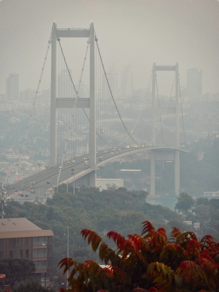 Cars Crossing A Foggy Bridge