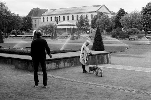 Základová fotografie zdarma na téma černobílý, chůze, fontána