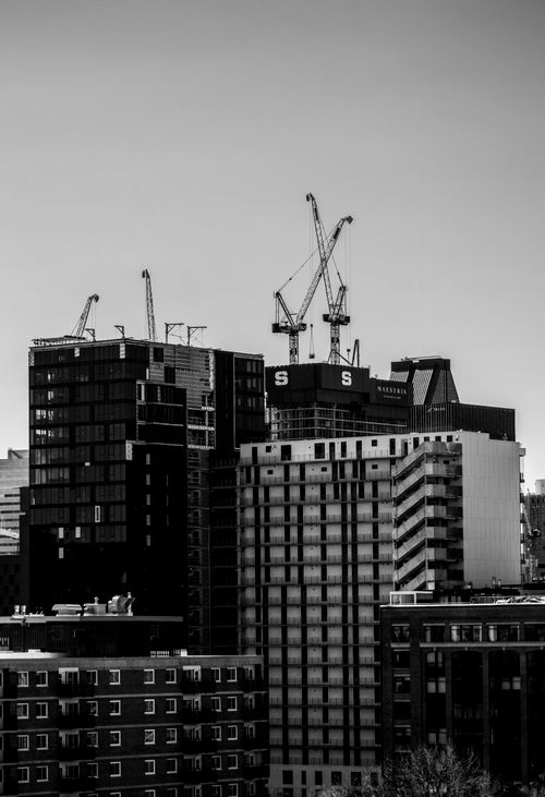 Free Black and white photo of Montréal skyline with high-rise buildings and construction cranes. Stock Photo