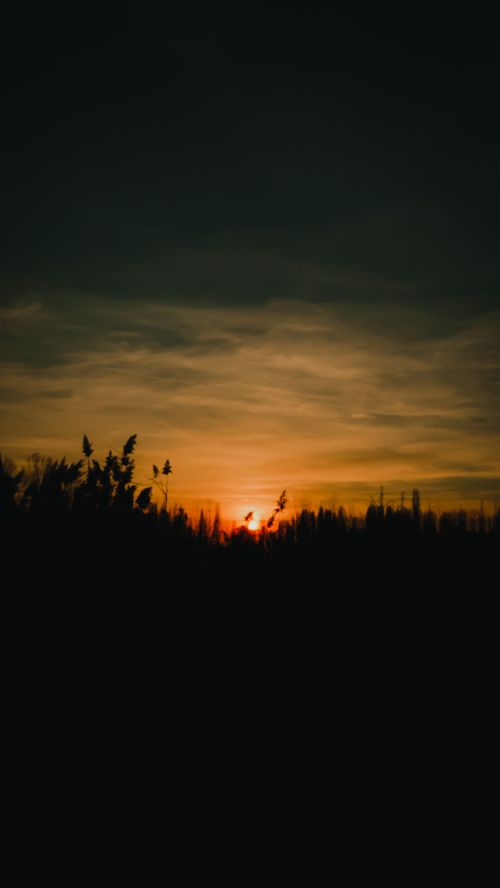 Free Captivating sunset with silhouetted trees and dramatic sky, perfect for calming backgrounds. Stock Photo