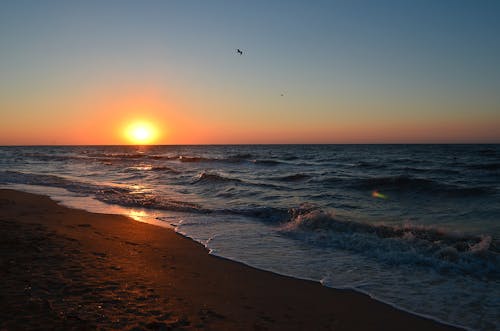 太陽, 岸邊, 日落 的 免费素材图片