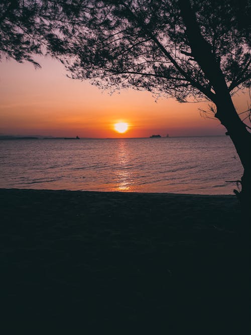 Gratis arkivbilde med atardecer, indonesia